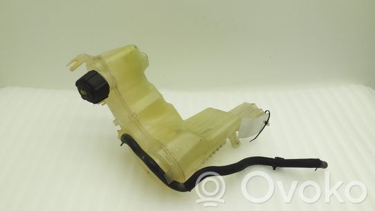 Renault Laguna III Serbatoio di compensazione del liquido refrigerante/vaschetta 