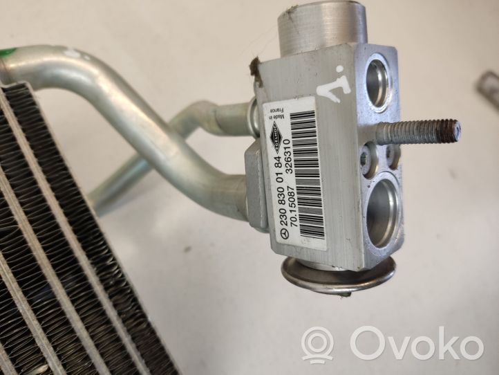 Mercedes-Benz CLS C219 Air conditioning (A/C) radiator (interior) A2308300184