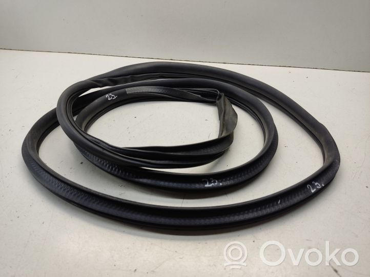 Mitsubishi Outlander Rear door rubber seal (on body) 