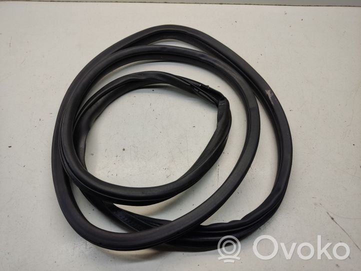 Mitsubishi Outlander Rear door rubber seal (on body) 