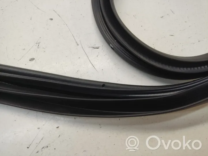 KIA Stonic Front door rubber seal 