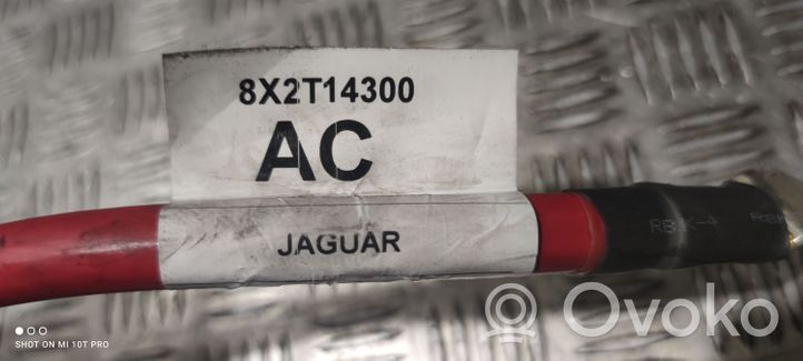 Jaguar XF X250 Plus / Klema / Przewód akumulatora 8X2T14300