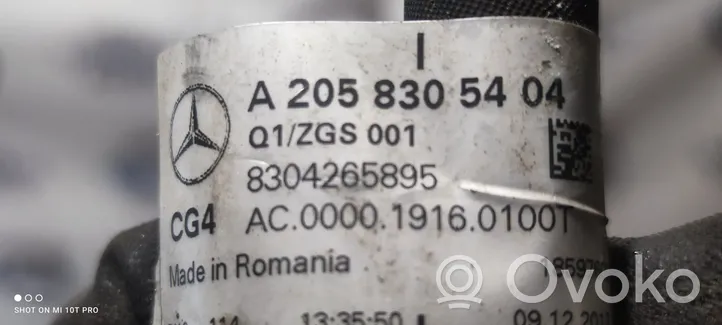 Mercedes-Benz C W205 Tuyau de climatisation A2058305404