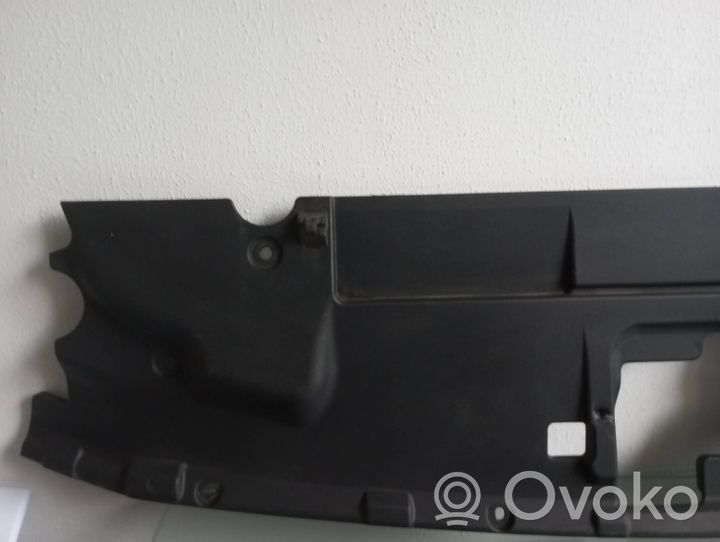 Ford Mustang VI Rivestimento della modanatura della chiusura del vano motore/cofano JR3B8C291AD