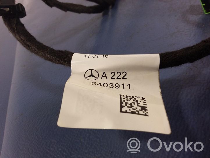 Mercedes-Benz S AMG W222 Autres faisceaux de câbles A2225403911
