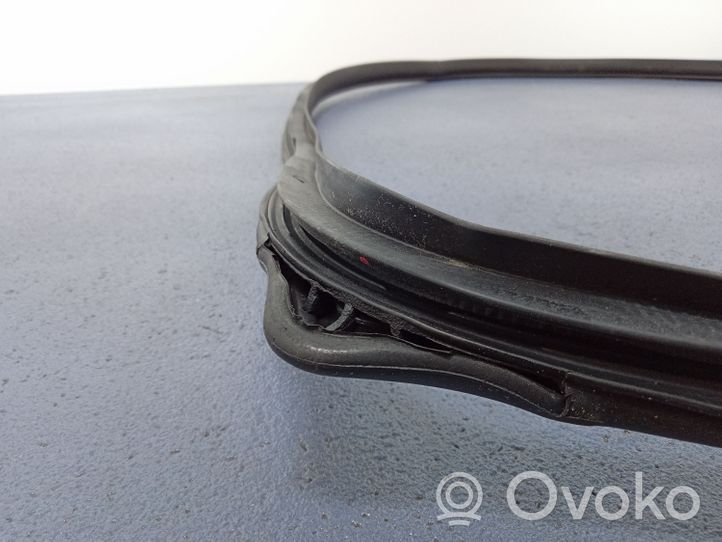 KIA Rio Front door rubber seal 01