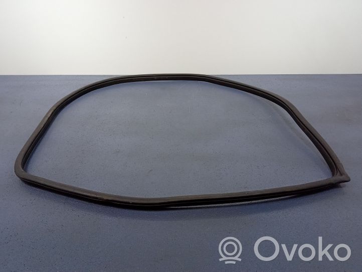 KIA Rio Front door rubber seal 01