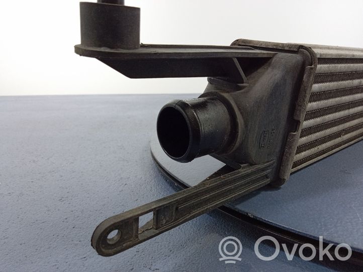 Fiat Punto (199) Chłodnica powietrza doładowującego / Intercooler RA8111161