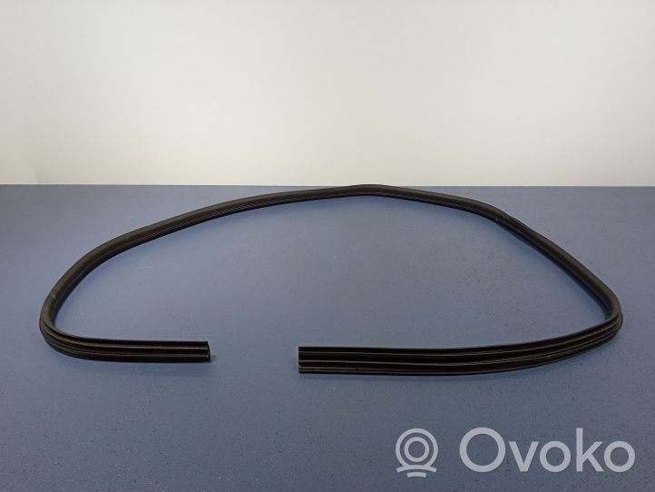 Ford Focus ST Front door rubber seal BM51A20530