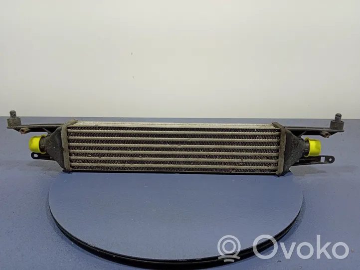 Fiat Punto (199) Chłodnica powietrza doładowującego / Intercooler 51836369