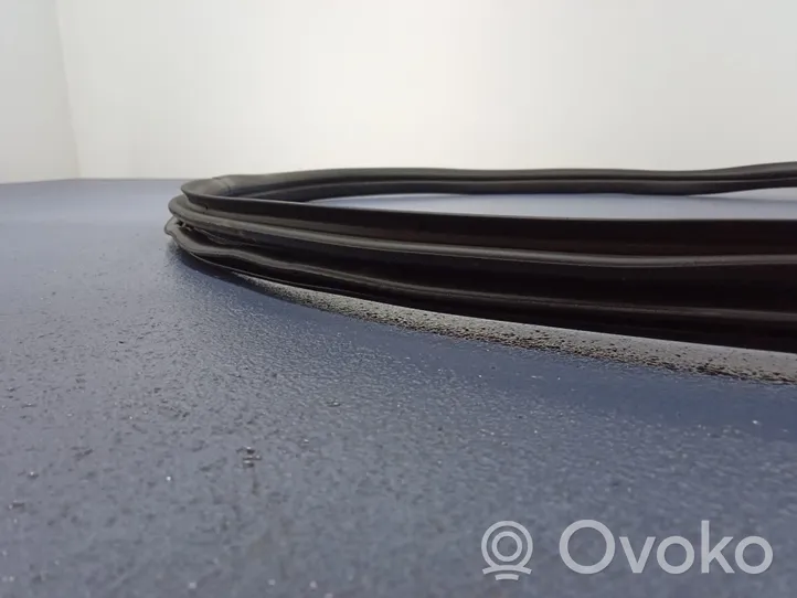 BMW 1 F40 Front door rubber seal 7452335