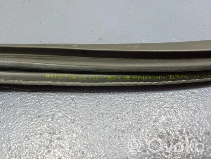 BMW 3 F30 F35 F31 Priekinė sandarinimo guma ant kėbulo 7258312