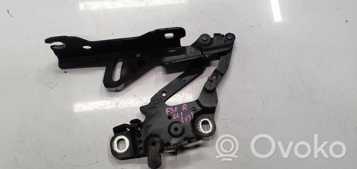 BMW 3 F30 F35 F31 Cerniere del vano motore/cofano 139896