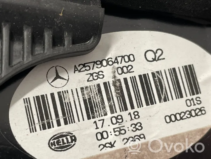 Mercedes-Benz CLS C257 Lampy tylnej klapy bagażnika A2579064700
