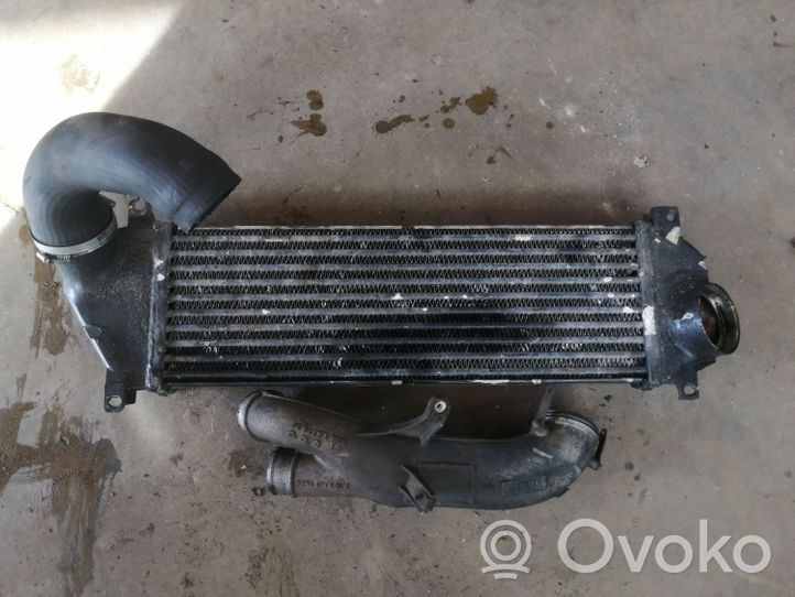 Mercedes-Benz ML W163 Radiatore intercooler 1035048