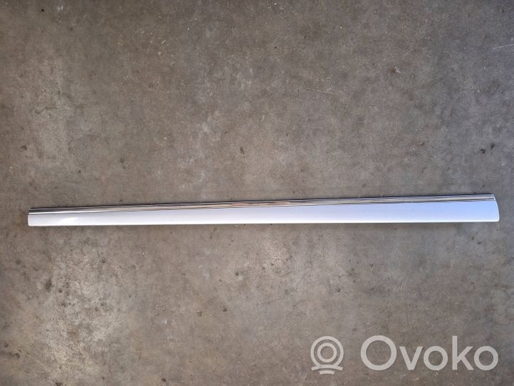 Mercedes-Benz S W220 Front door trim (molding) A2206900562