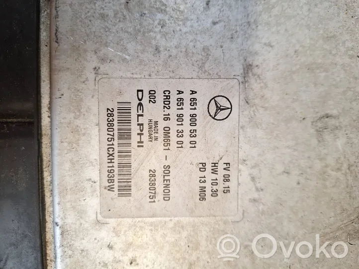 Mercedes-Benz E W212 Sterownik / Moduł ECU A6519005301