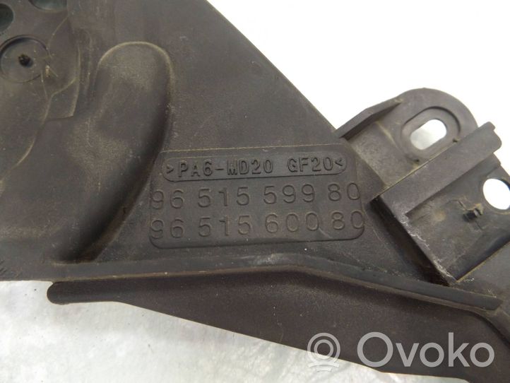 Citroen C3 Picasso Protezione cinghia di distribuzione (copertura) 9651559980