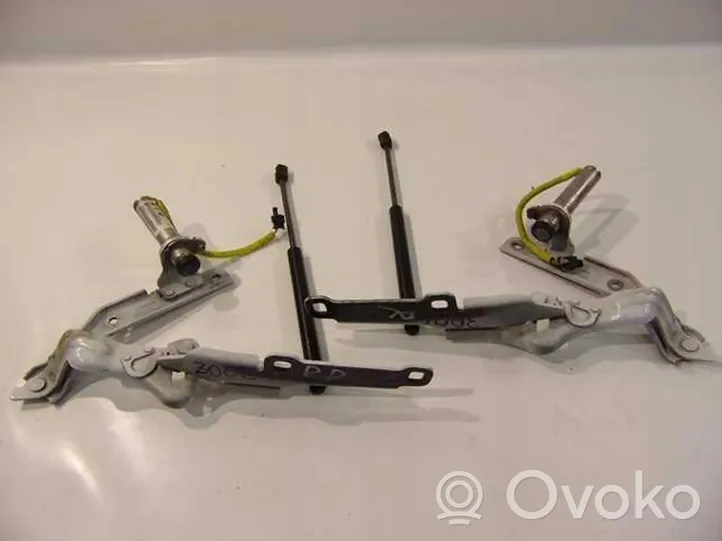 Chrysler 300C Cerniere del vano motore/cofano 55113568AC