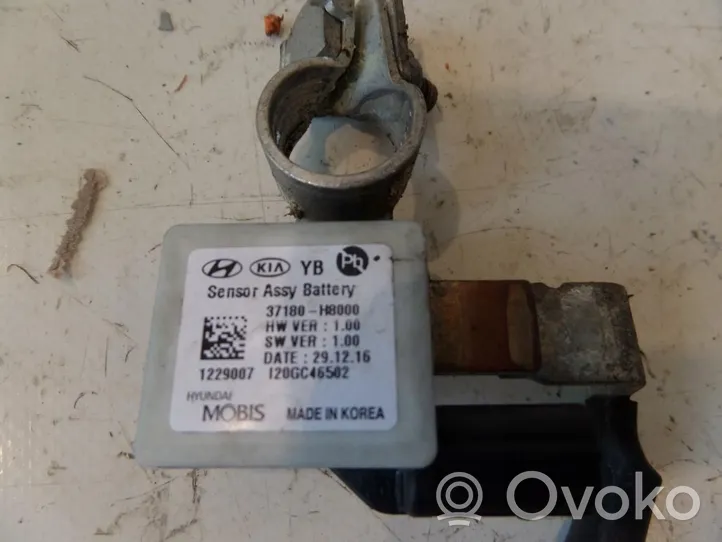 KIA Rio Negative earth cable (battery) 37180-H8000