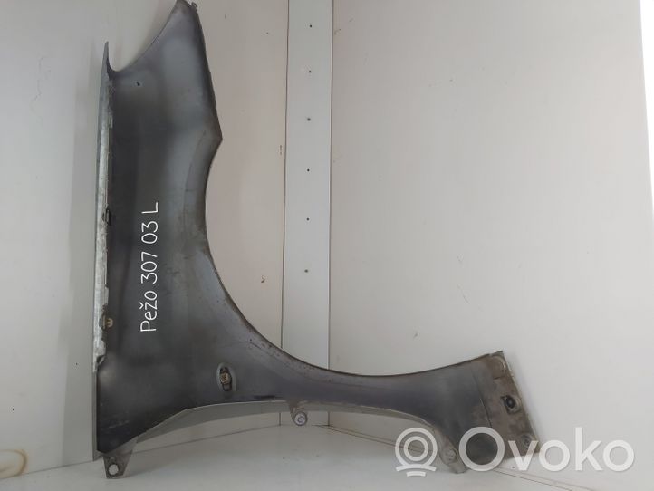 Peugeot 307 Rivestimento dell’estremità del parafango 