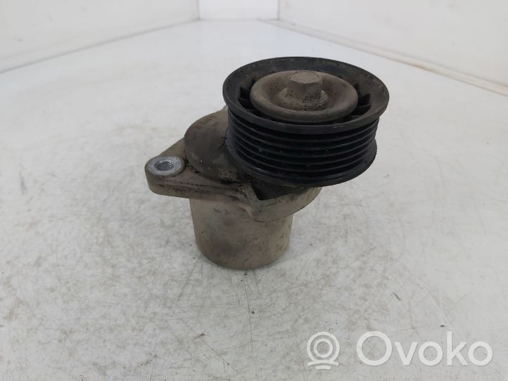 Ford Mondeo MK IV Tendicinghia dell’alternatore US5647813