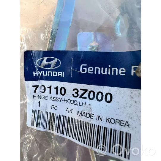 Hyundai i40 Konepellin saranat 79110-3Z000