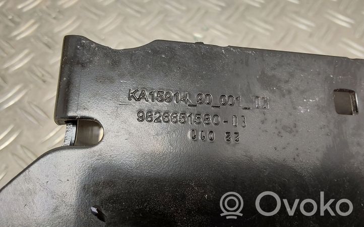 Citroen C4 III e-C4 Horn signal 9839315880