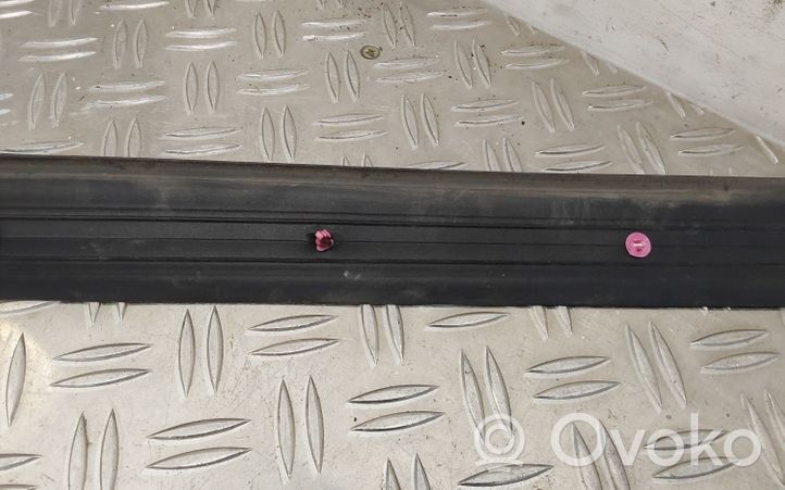 Toyota RAV 4 (XA40) Sandarinimo guma priekinių durų (ant kėbulo) 