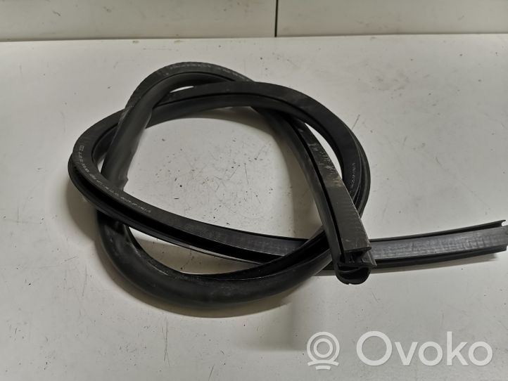 Audi A5 8T 8F Rubber seal front coupe door 8T0831707D