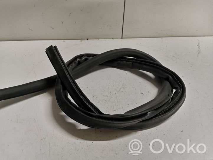 Audi A5 8T 8F Rubber seal front coupe door 8T0831707D