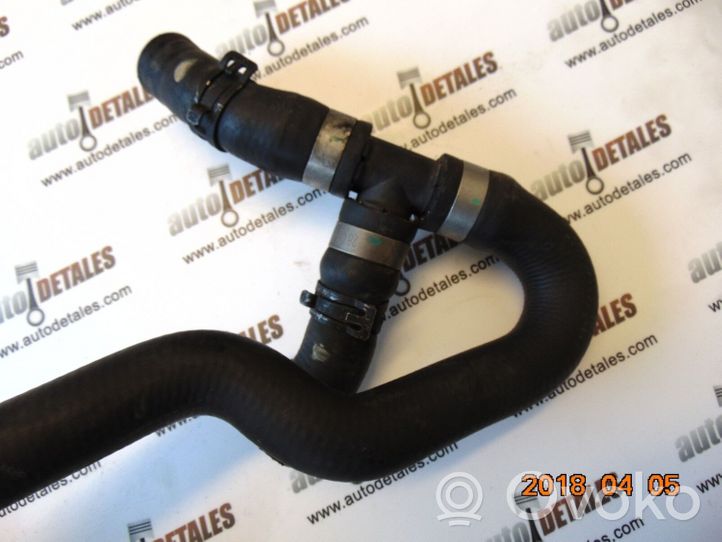 Mercedes-Benz S W220 Engine coolant pipe/hose A2208301896