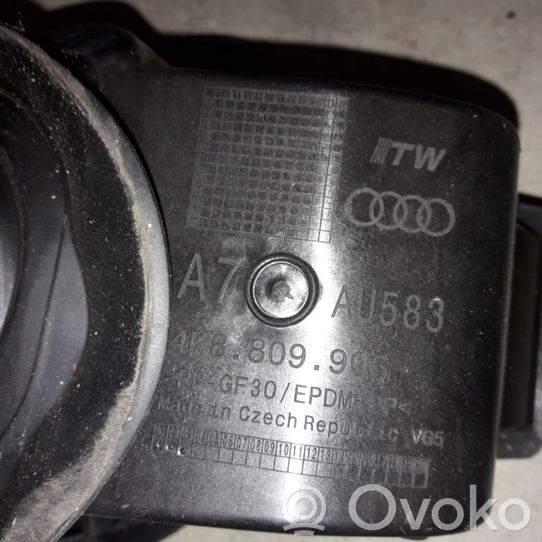 4K8809906 Audi A7 S7 4K8 Tankdeckel Tankklappe, 50.00 € | RRR