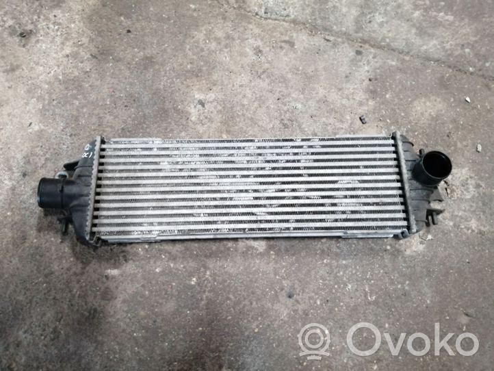 Opel Vivaro Intercooler radiator 93850451