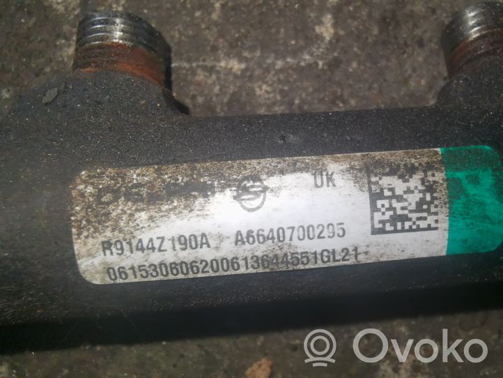 SsangYong Kyron Listwa wtryskowa A6640700295