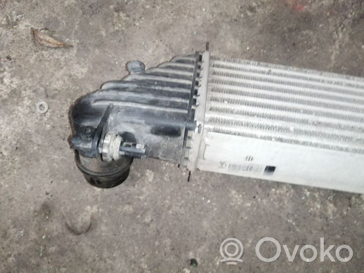 Fiat 500L Intercooler radiator 8A9450000