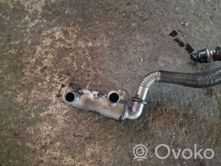 Citroen Berlingo Refroidisseur de vanne EGR 