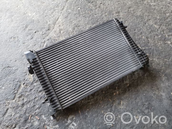 Volkswagen PASSAT B6 Starpdzesētāja radiators 3C0145803F