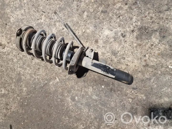 Volkswagen Caddy Front shock absorber/damper 