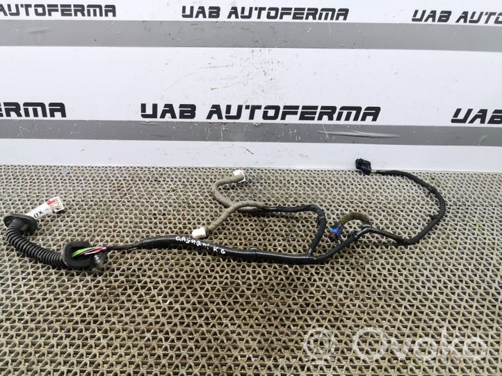 Nissan Qashqai Проводка задних дверей 241274EA1B