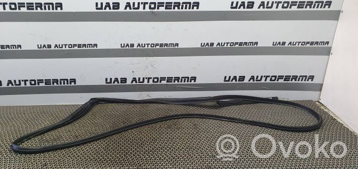 Nissan Qashqai Gumowa uszczelka drzwi tylnych 828304EA0E