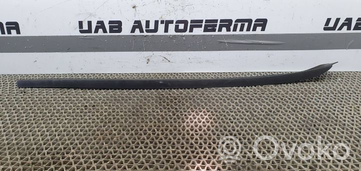 Seat Ibiza IV (6J,6P) Rivestimento modanatura del vetro della portiera anteriore 6J0854320