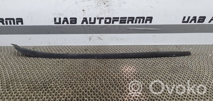 Seat Ibiza IV (6J,6P) Moulure de vitre de la porte avant 6J0854319