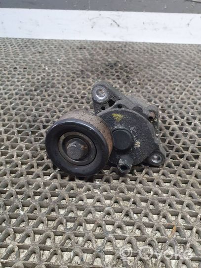 Hyundai ix35 Tendicinghia generatore/alternatore 252812A200