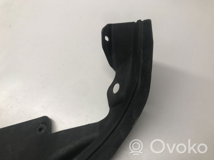 BMW 4 F32 F33 Front door rubber seal 7347701