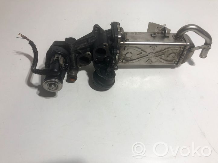 Volkswagen PASSAT B7 EGR dzesētājs 03L131512AT