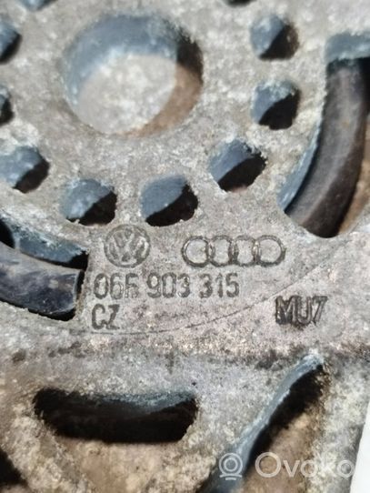 Volkswagen Jetta V Napinacz paska alternatora 06B903315