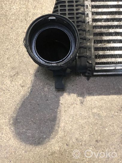 Volkswagen Tiguan Radiatore intercooler 3C0145805P