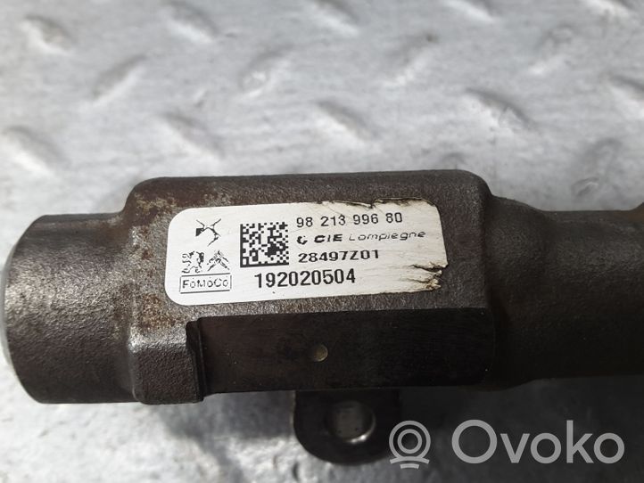 Citroen Berlingo Tuyau de conduite principale de carburant 9821399680