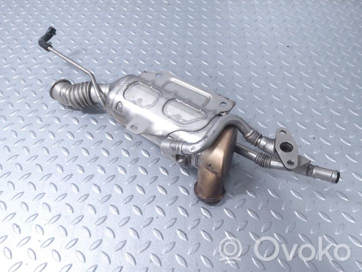 Land Rover Defender EGR-venttiili/lauhdutin K6D39F464BD